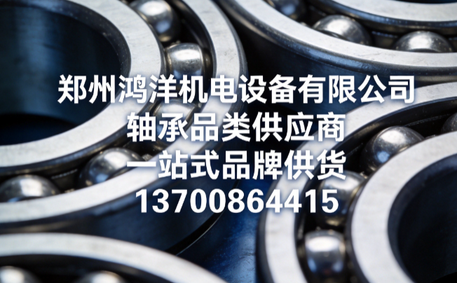 鸿洋阜新线上分站